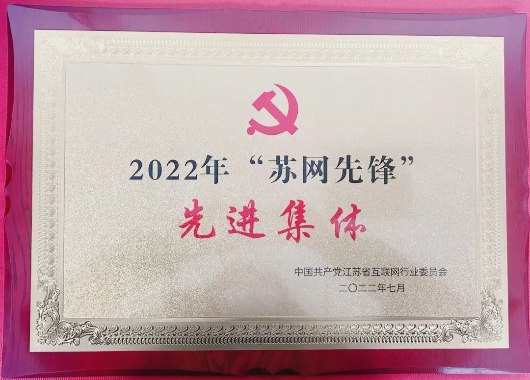华云数据党支部荣获2022年“苏网先锋”先进集体