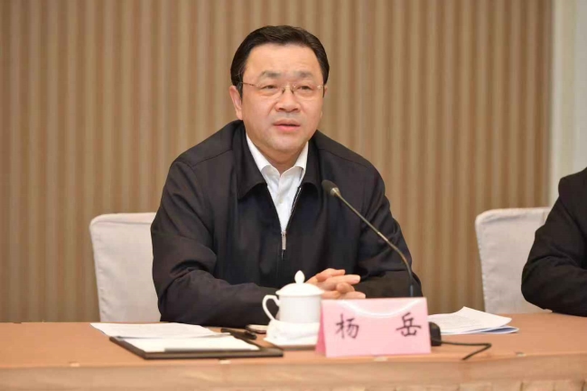 江苏省委常委、统战部部长杨岳